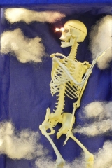 Anatomme