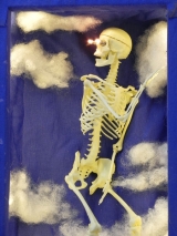 Anatomme