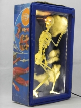 Anatomme