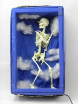 Anatomme