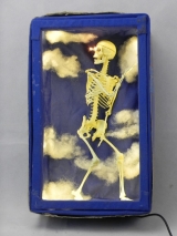 Anatomme