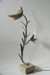 Aquapoisp0