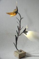 Aquapoisp1
