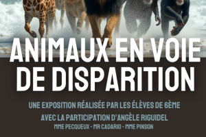AVD Collège 7 épis