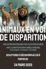 affiche-AVD-cdi