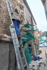 RiguidelBrionneINS01