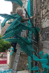 RiguidelBrionneINS02