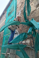 RiguidelBrionneINS04