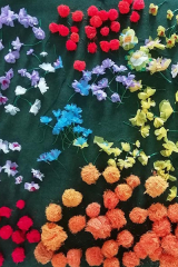 fleurs-participants