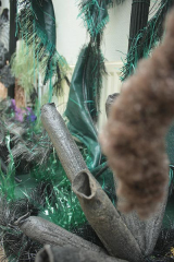 RiguidelCAL09