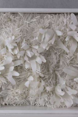 DechetsauvagesCblanc01