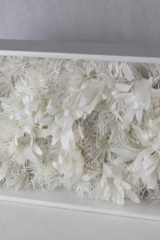 DechetsauvagesCblanc02