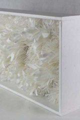 DechetsauvagesCblanc03