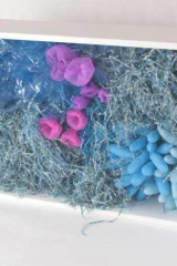 DechetsauvagesCbleu02