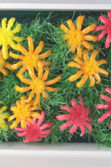 DechetsauvagesCmjo01