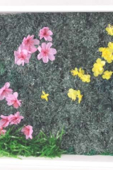 DechetsauvagesCpelou01