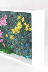 DechetsauvagesCpelou03