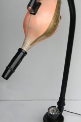 Elemo1