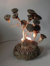 Fleurdepinm