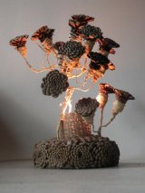 Fleurdepinp1
