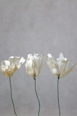 Fleurblancyagrec01
