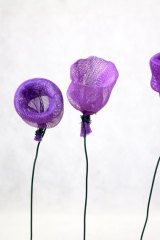 Fleurvioletfilet01