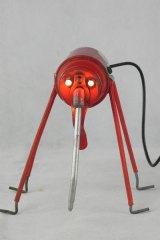 Insecting1