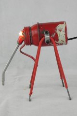 Insecting2