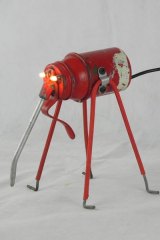 Insectingp1