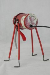 Insectingz