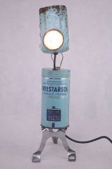 Intestarsolp1