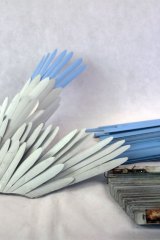 Oiseaustore01