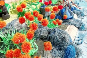 LA 60 eme ILE en mai 2022