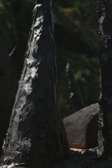 RIGUIDEL2021JDP0404