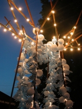 Le Rock Dans Tous Ses Etats VIP 2009