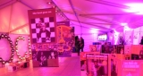 Le Rock Dans Tous Ses Etats VIP 2011