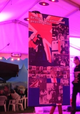 Le Rock Dans Tous Ses Etats VIP 2011