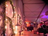 Le Rock Dans Tous Ses Etats VIP 2012