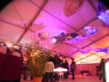 Le Rock Dans Tous Ses Etats VIP 2012