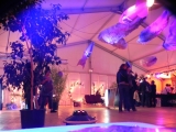 Le Rock Dans Tous Ses Etats VIP 2012