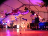 Le Rock Dans Tous Ses Etats VIP 2012