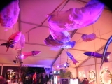 Le Rock Dans Tous Ses Etats VIP 2012