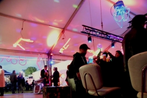 Le Rock Dans Tous Ses Etats VIP 2013