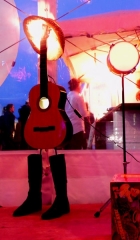 Le Rock Dans Tous Ses Etats VIP 2013