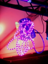 Le Rock Dans Tous Ses Etats VIP 2013