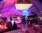 Le Rock Dans Tous Ses Etats VIP 2015