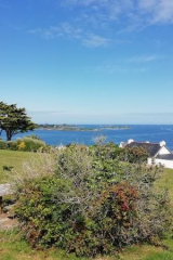 SeMetaRiguidelVueAber06