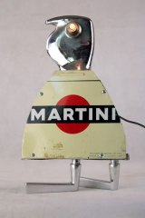 Martinip1