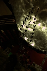 le jardin des plastiques