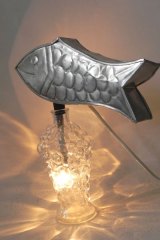 Poissonbulz